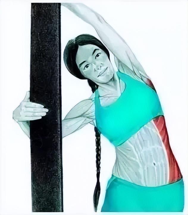 10分钟懒人拉伸训练动作，这6组33个拉伸动作绝了