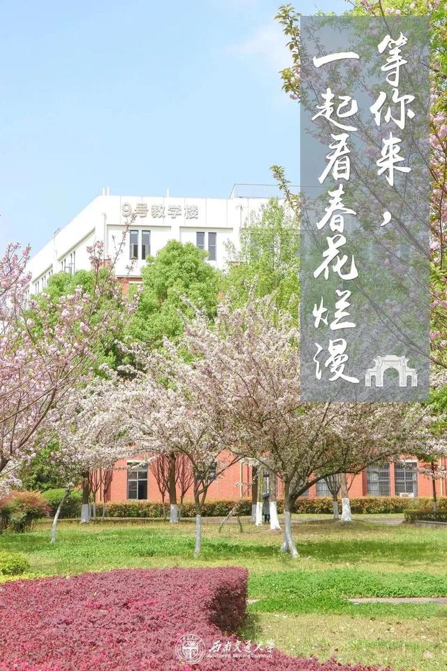 成都市有哪些高校属市属高校，经费不如市属高校