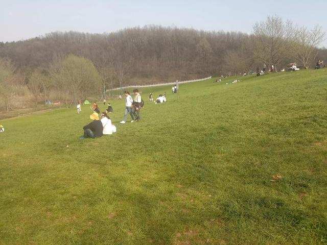 紫蓬山一日游攻略，紫蓬山五一游玩攻略（紫蓬山一日游）