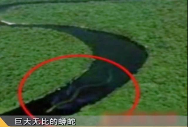 蛇洞，自然密码蛇洞之谜