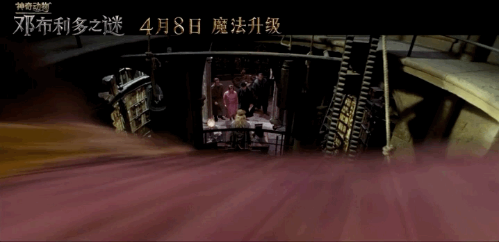 有哪些神奇的动物，15种你需要了解的神奇动物（10种不寻常的神奇动物很难想象它们独特的模样）