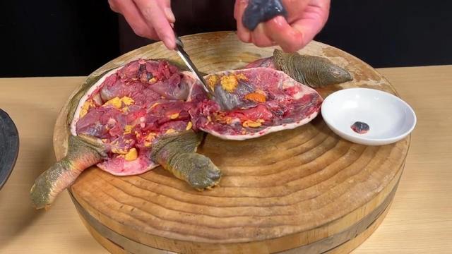清炖甲鱼怎么做，怎么做清炖甲鱼最好吃（清炖甲鱼汤）