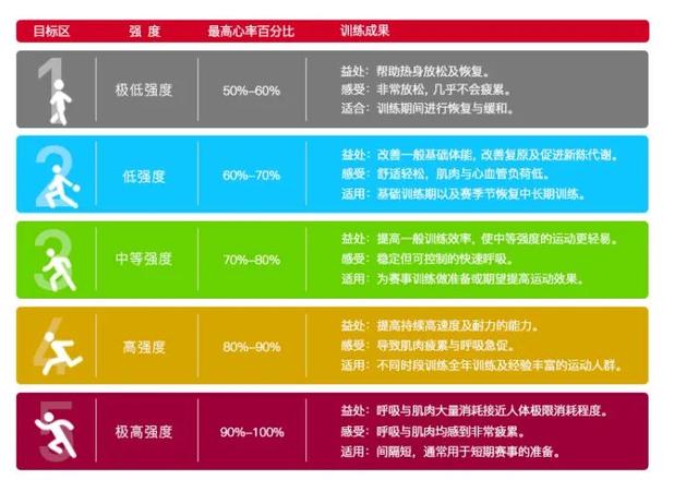 核心循环训练方法图解，循环训练法是什么