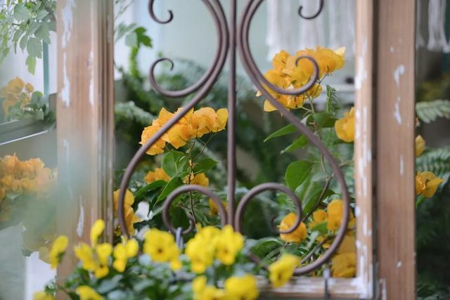 法式花园如何欣赏，海妈花园访问阳台花园满分案例