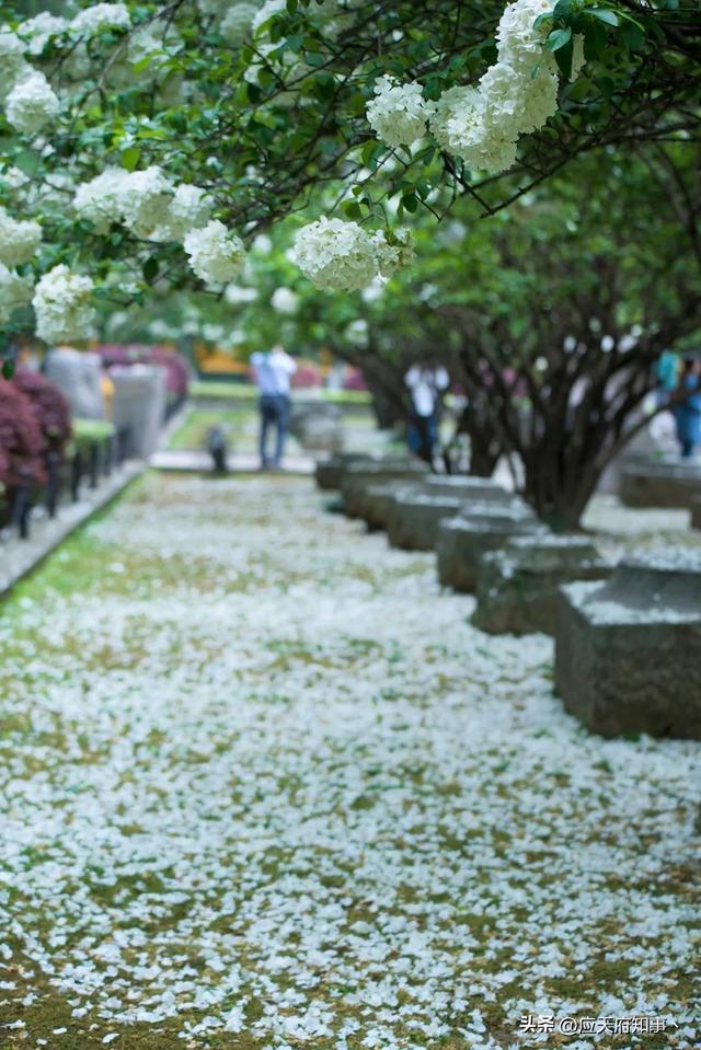 南京打卡景点小众，安利30处南京小众打卡地