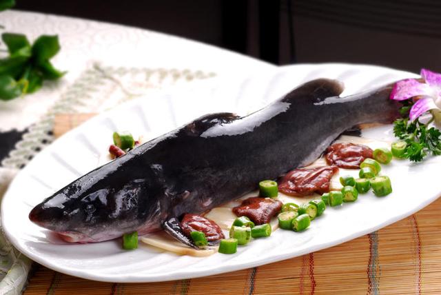 烤鱼一般用什么鱼，烤鱼一般烤的什么鱼