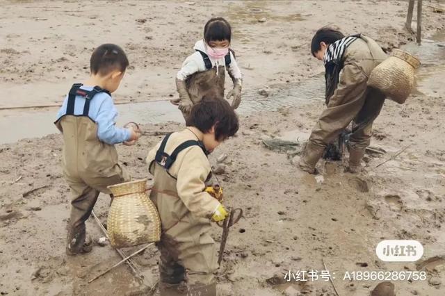洞头冬天还能不能赶海，天气这么好去洞头赶海啊