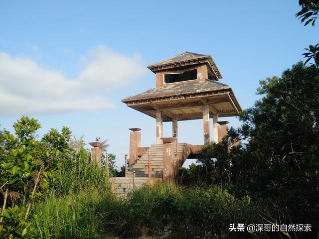 深圳不起眼的山峰，深圳这十座不知名山峰