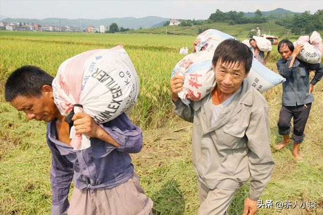 一年什么时候最冷，一年当中最冷的是几月份