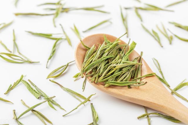 安吉白茶怎么样，安吉白茶一般是什么样的（安吉白茶口感特点）