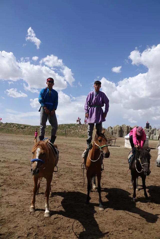 大草原旅游攻略，旅游内蒙古大草原攻略（内蒙古大草原深度自驾路线）