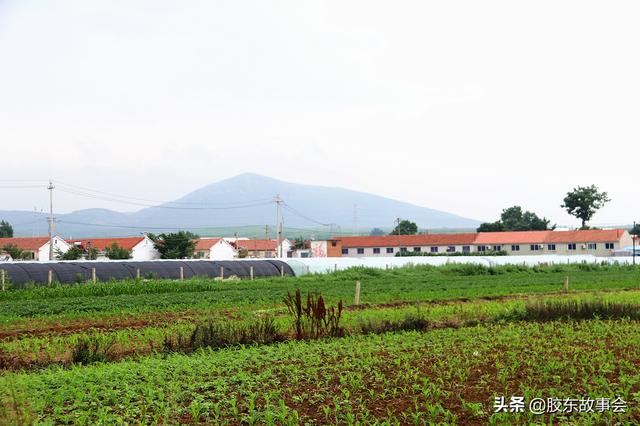 莱阳市万第镇各村详细地图，莱阳富水河胡留大桥附近的好风光