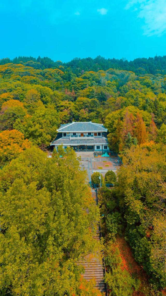 达州凤凰山景点介绍，云赏达州凤凰山