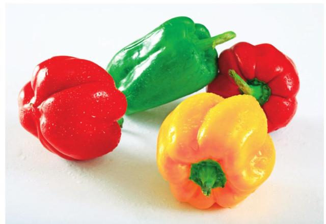 各种类型蔬菜有哪些，蔬菜的分类及品种有哪些