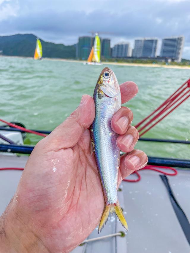 广东海滩日出旅游攻略，南澳岛绝美拍照打卡地‼️