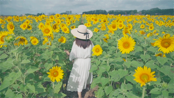 南京周边一日游，南京周边踏青一日游景点推荐（南京秋游好去处）