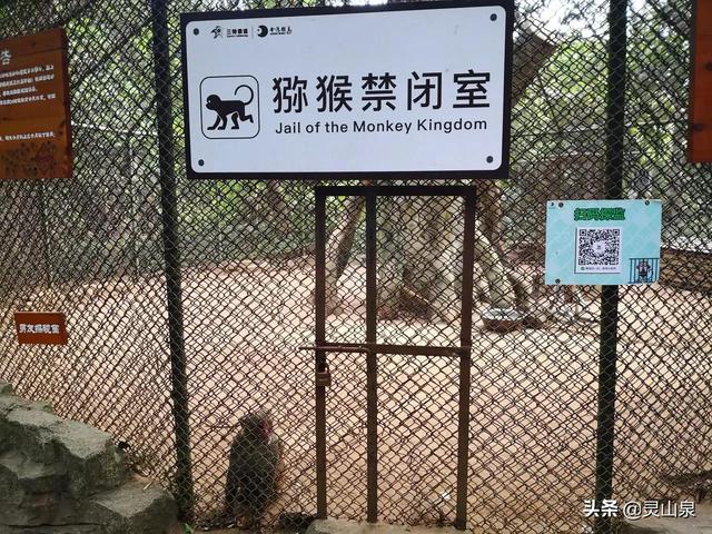 海南岛有哪些景点值得去，海南这6个5A景区