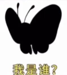 谐音梗太好笑了，那些好看又好笑的谐音梗笑话