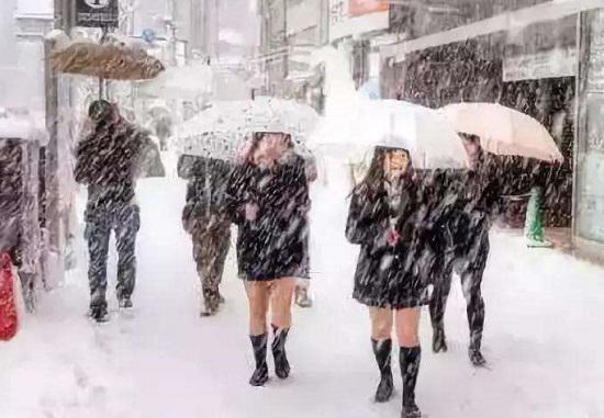 肥胖绒