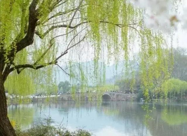 常用对联25对，天下智慧写在这25副对联里