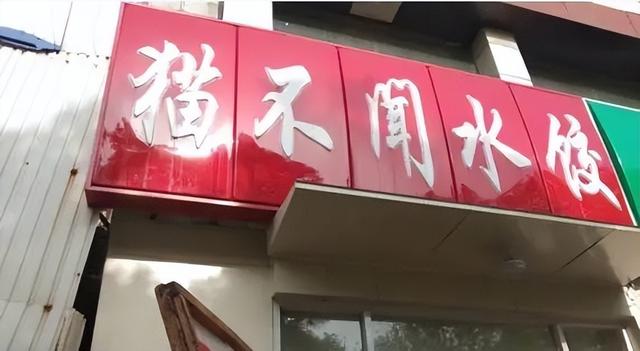 小猫名字接地气，见到天津猫不闻