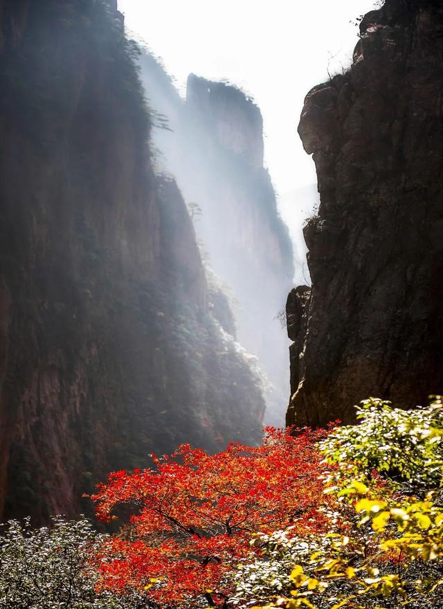 安徽黄山有哪些旅游攻略，这可能是有史以来最全的黄山旅游攻略——来自当地土著的攻略