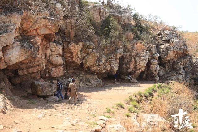 说尽佛陀与树的不解之缘，五分钟带你了解佛陀一生