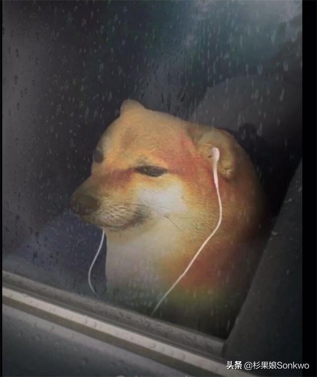 宝可梦晶灿钻石，宝可梦钻石珍珠复刻选哪个
