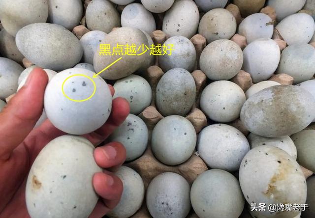 皮蛋能直接吃吗，刚买回家的皮蛋（买回来的皮蛋能直接吃吗）