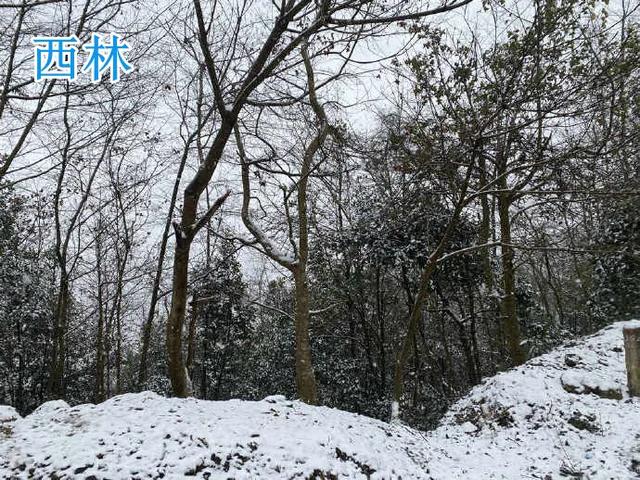 广西哪几个县道路结冰，广西多地出现冰冻、雾凇