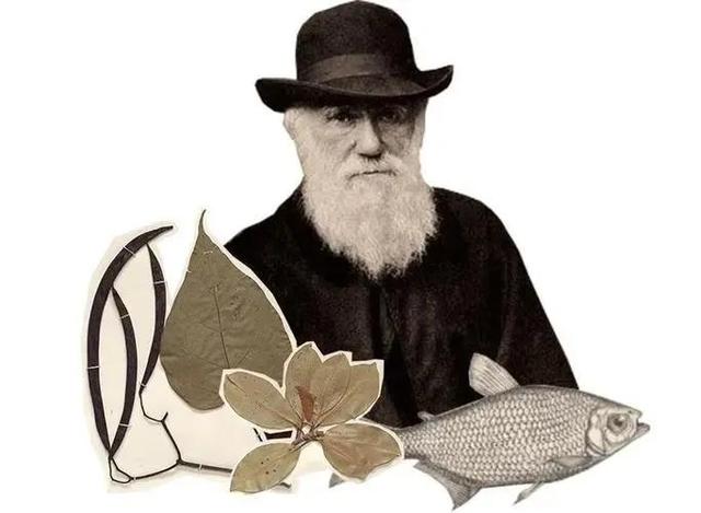 达尔文小时候的故事，达尔文小时候的故事有哪些