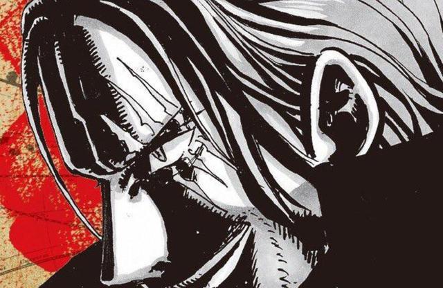 海贼王官网漫画解说，海贼王动画将延期更新