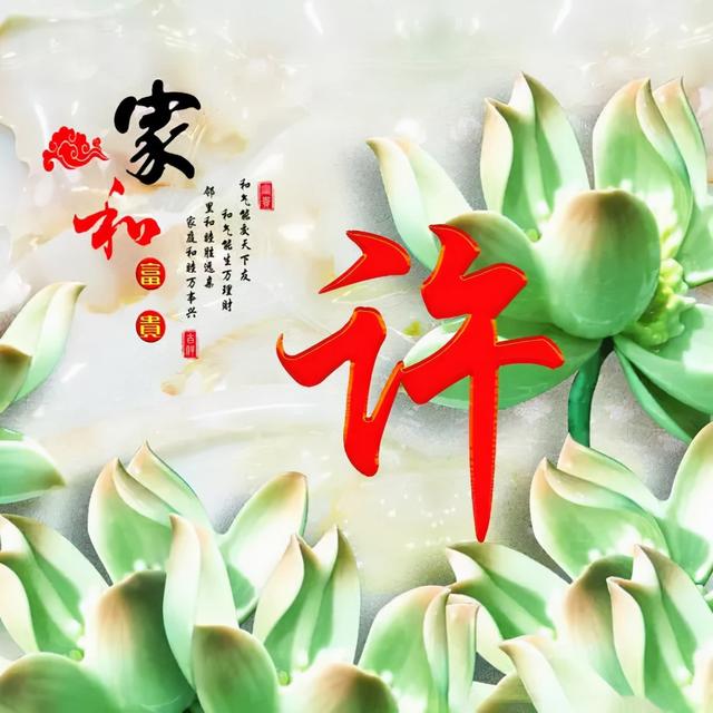 荷花头像图片大全，荷花头像高清图
