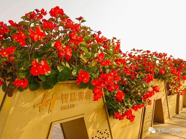 我们身边的沈阳，他曾数十次翱翔在沈阳的上空