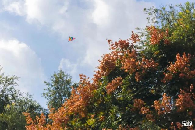 深圳地铁1号线游玩，免费地铁直达深圳这些地方一天玩遍
