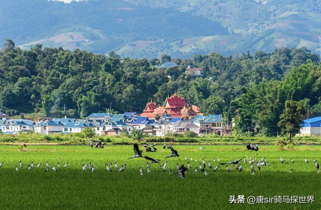 云南西双版纳旅游热，一座四季皆夏的城市