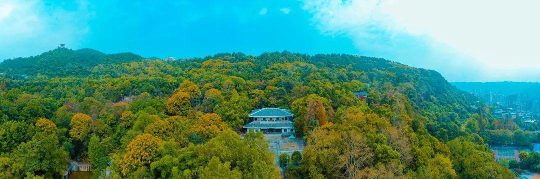 达州凤凰山景点介绍，云赏达州凤凰山