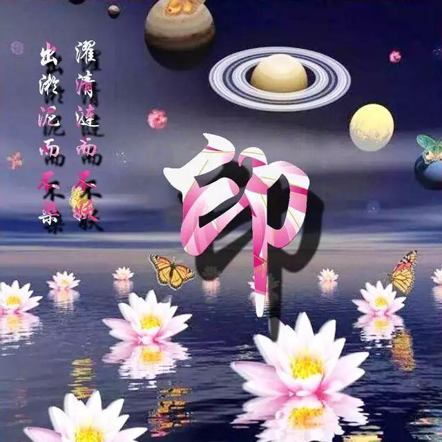 荷花头像图片大全，荷花头像高清图