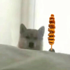 可爱小狗表情包，可爱表情包大全狗子