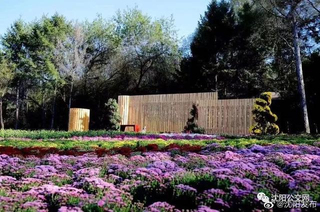 我们身边的沈阳，他曾数十次翱翔在沈阳的上空