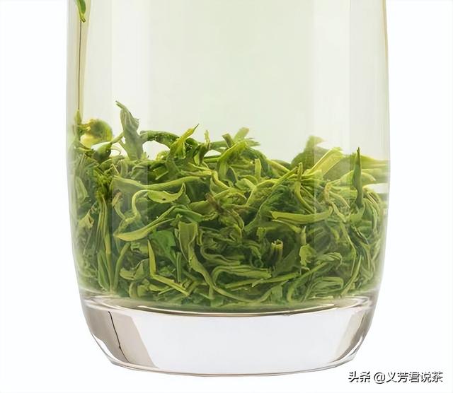 具有代表性的五款绿茶，喝懂这六种绿茶