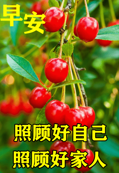 早上好的表情包，2022最火早上好表情包（2022最新早上好表情包）