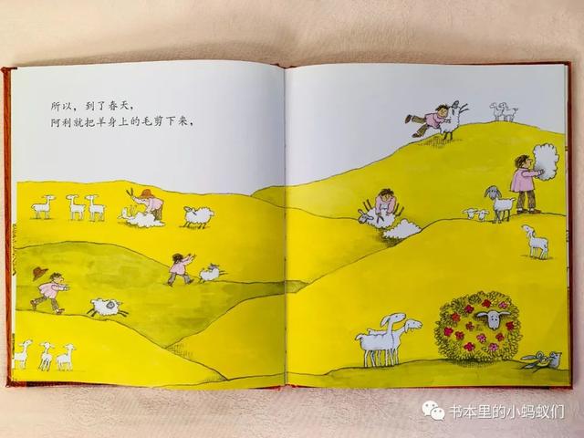 假面骑士虾饺的千层套路，千人糕和阿利的红斗篷