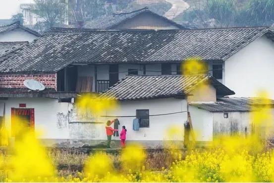 五十三里桃花坞，《五十公里桃花坞》第三季首播