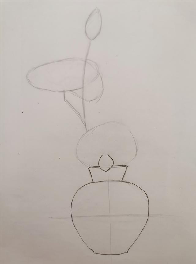 速写入门基础画花卉，7步通俗易懂的速写画画入门教程