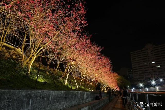 日本赏樱花著名景点，这些赏樱地等你打卡