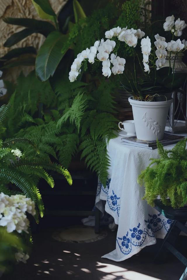 法式花园如何欣赏，海妈花园访问阳台花园满分案例