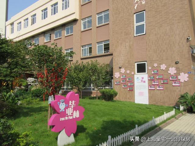 上海重点区小学排名，上海16区民办小学排名