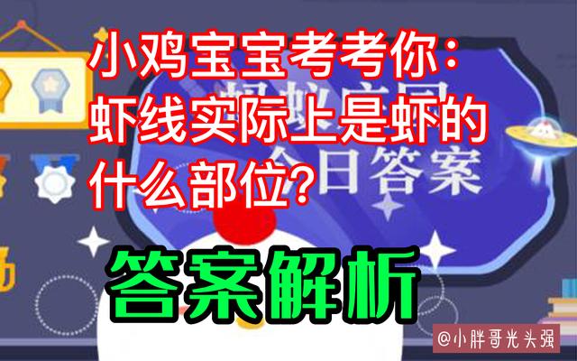 虾上下都是虾线吗，虾线实际上是虾的什么部位