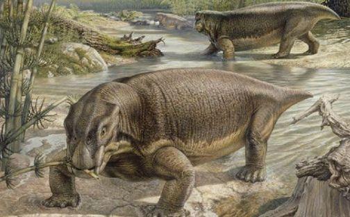 人类的进化史到底是什么样的，人类进化史上有13万年的空白,过程中发生了什么